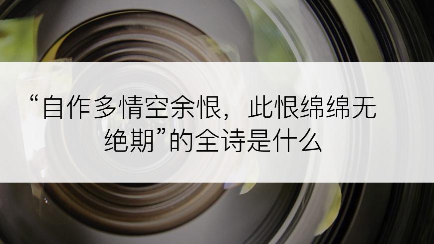 “自作多情空余恨，此恨绵绵无绝期”的全诗是什么