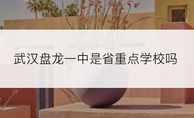 武汉盘龙一中是省重点学校吗