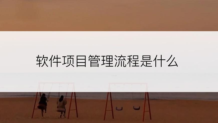 软件项目管理流程是什么