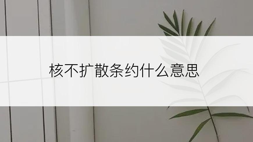 核不扩散条约什么意思