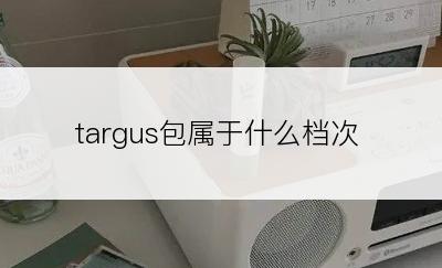 targus包属于什么档次