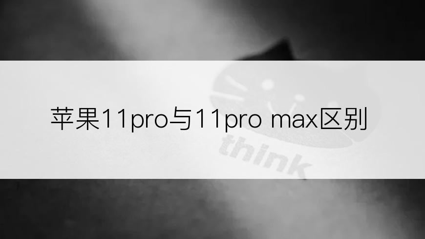 苹果11pro与11pro max区别