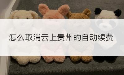 怎么取消云上贵州的自动续费