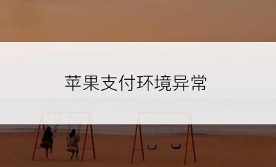 苹果支付环境异常