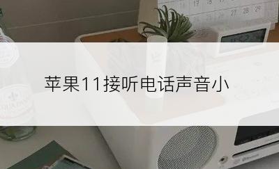 苹果11接听电话声音小