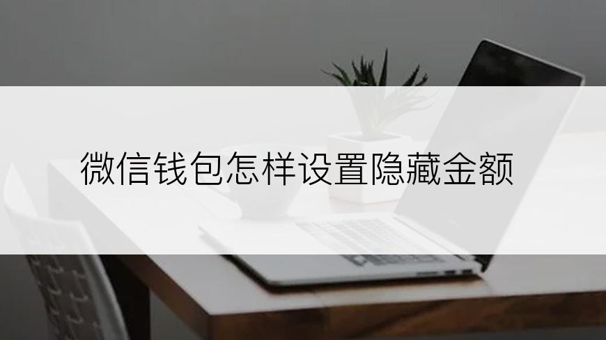 微信钱包怎样设置隐藏金额