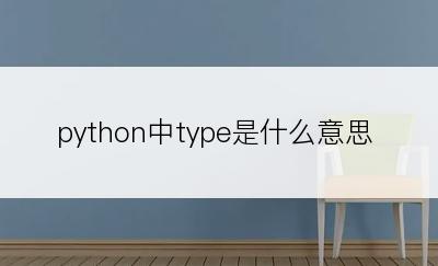 python中type是什么意思