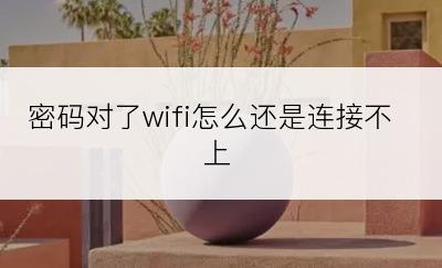 密码对了wifi怎么还是连接不上