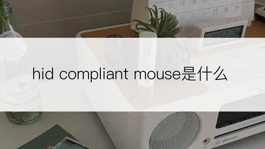 hid compliant mouse是什么