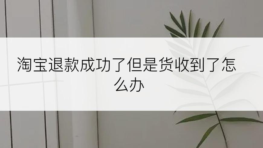 淘宝退款成功了但是货收到了怎么办