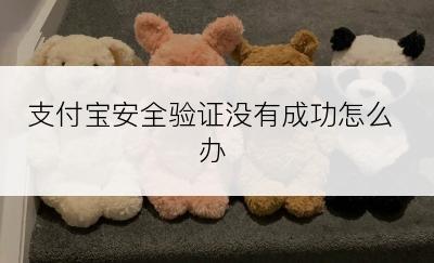 支付宝安全验证没有成功怎么办