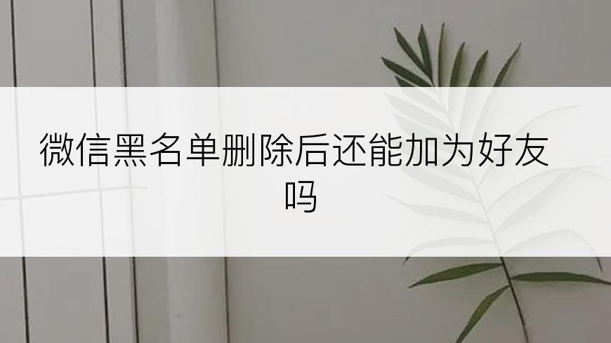 微信黑名单删除后还能加为好友吗