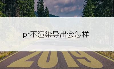 pr不渲染导出会怎样