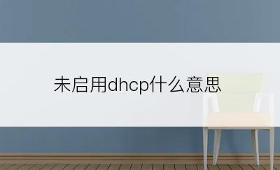 未启用dhcp什么意思