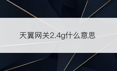 天翼网关2.4g什么意思