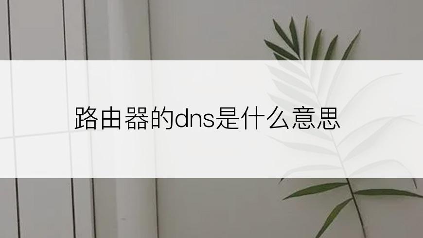 路由器的dns是什么意思