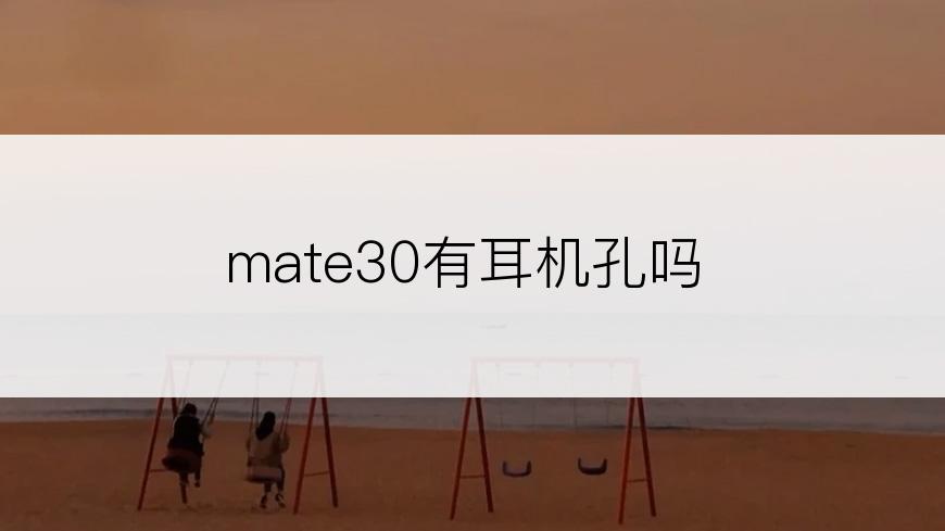 mate30有耳机孔吗