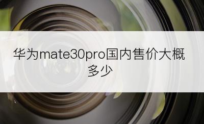 华为mate30pro国内售价大概多少