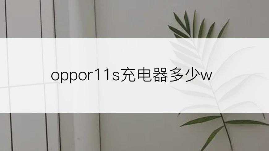 oppor11s充电器多少w