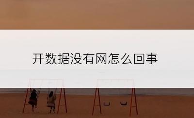 开数据没有网怎么回事