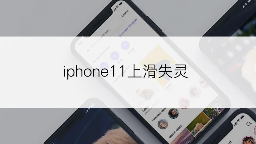 iphone11上滑失灵