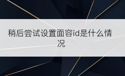 稍后尝试设置面容id是什么情况