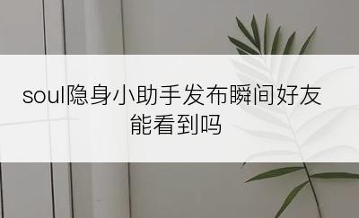 soul隐身小助手发布瞬间好友能看到吗