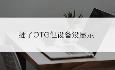 插了OTG但设备没显示