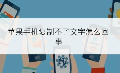 苹果手机复制不了文字怎么回事