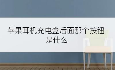 苹果耳机充电盒后面那个按钮是什么