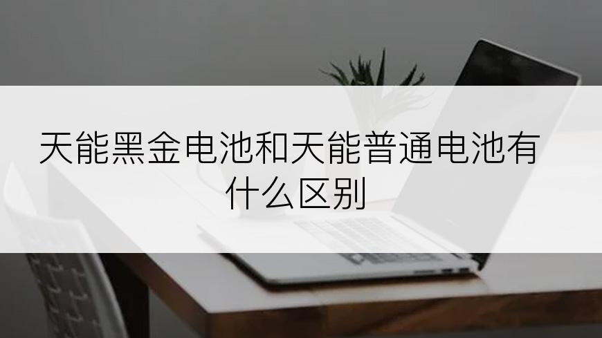 天能黑金电池和天能普通电池有什么区别