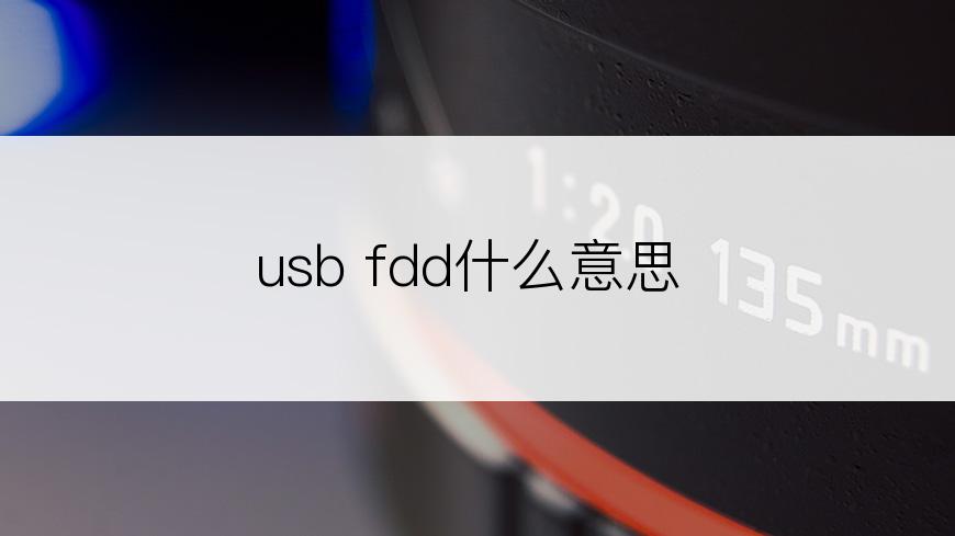 usb fdd什么意思