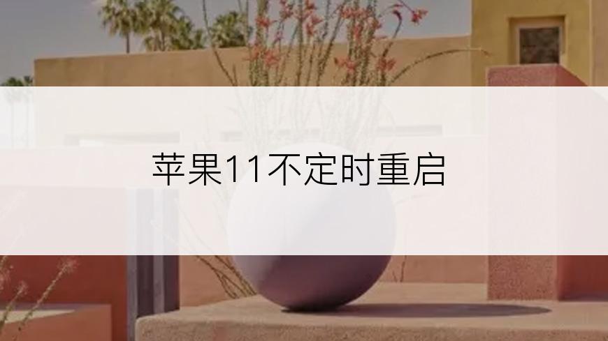 苹果11不定时重启