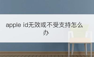 apple id无效或不受支持怎么办