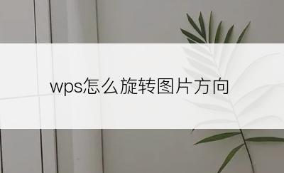 wps怎么旋转图片方向