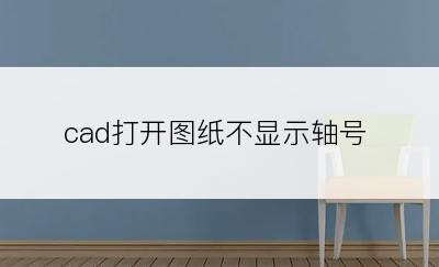 cad打开图纸不显示轴号