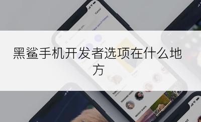 黑鲨手机开发者选项在什么地方