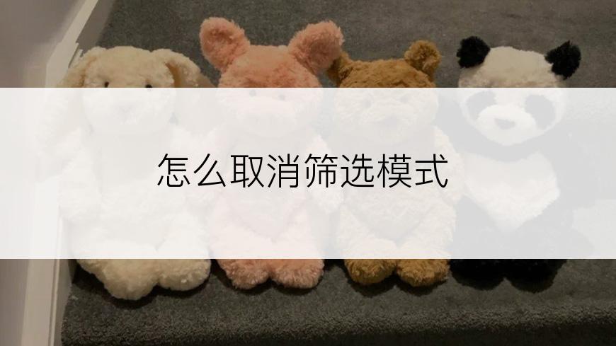 怎么取消筛选模式