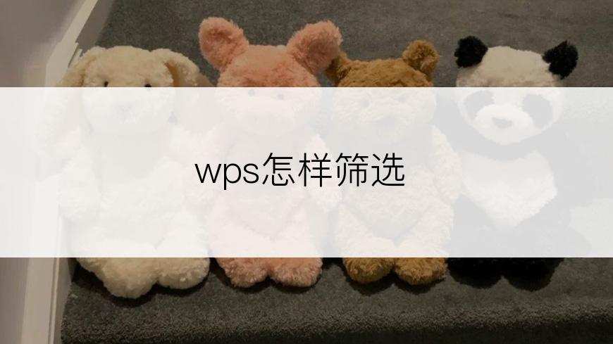 wps怎样筛选