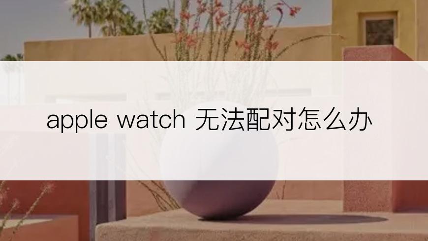 apple watch 无法配对怎么办