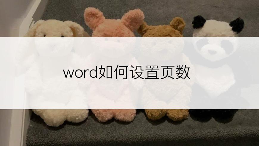 word如何设置页数