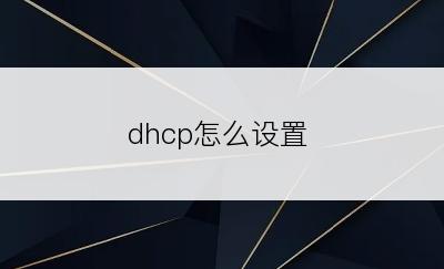 dhcp怎么设置