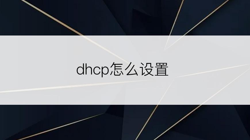 dhcp怎么设置