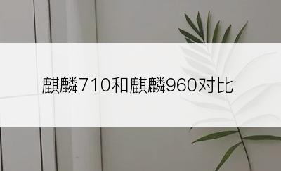 麒麟710和麒麟960对比