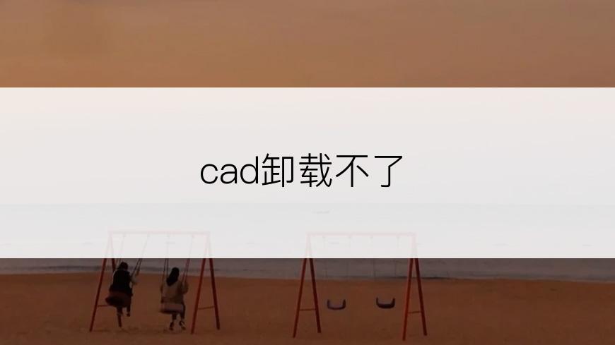 cad卸载不了