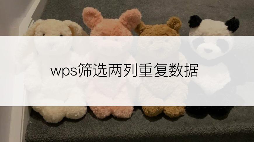 wps筛选两列重复数据