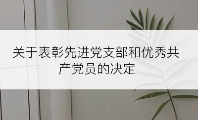 关于表彰先进党支部和优秀共产党员的决定