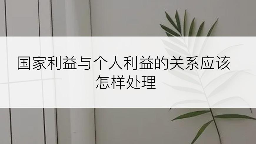 国家利益与个人利益的关系应该怎样处理