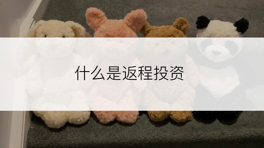 什么是返程投资