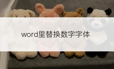 word里替换数字字体